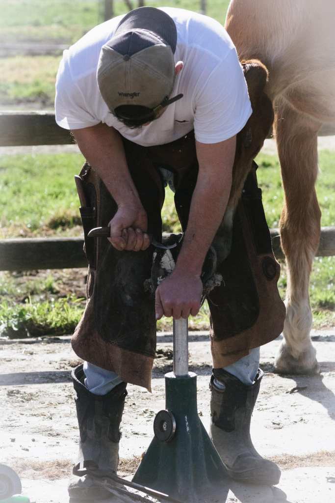 Dr. Ethan Romas-Hill performing Veterinary Podiatry work on a horse.
